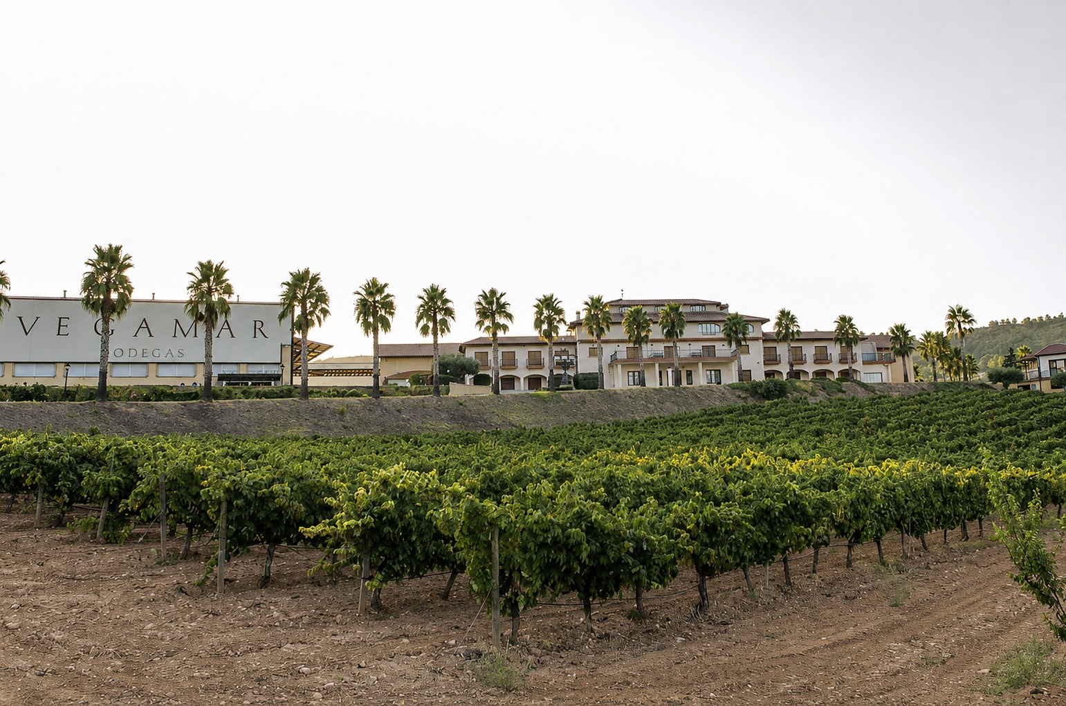 The Vegamar winery in Calles, Valencia