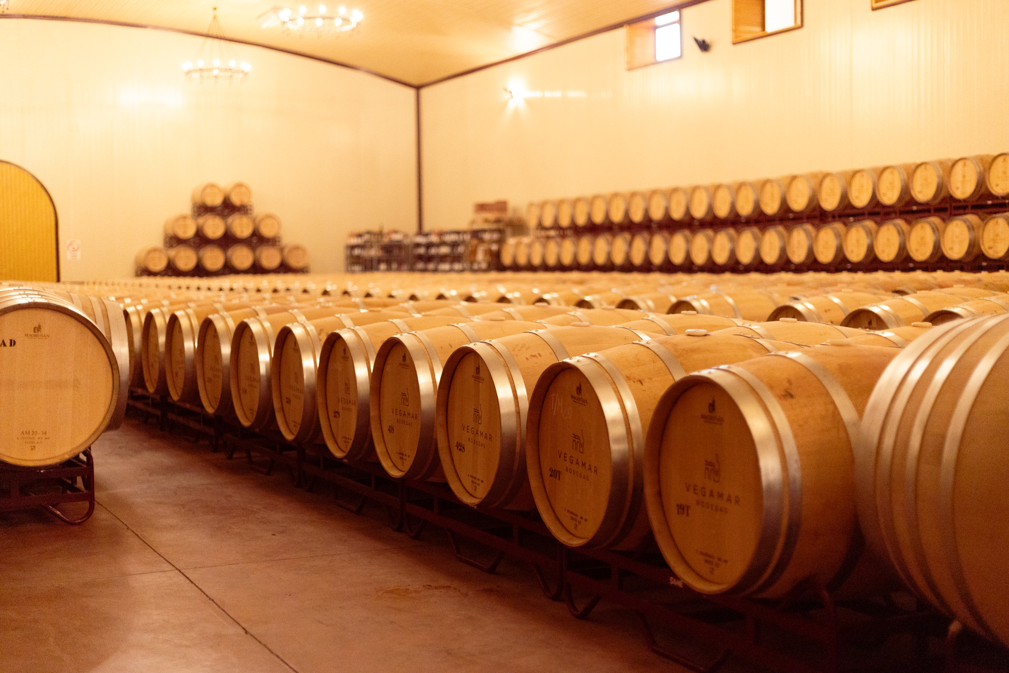 Oak barrels resting in the Vegamar cellar